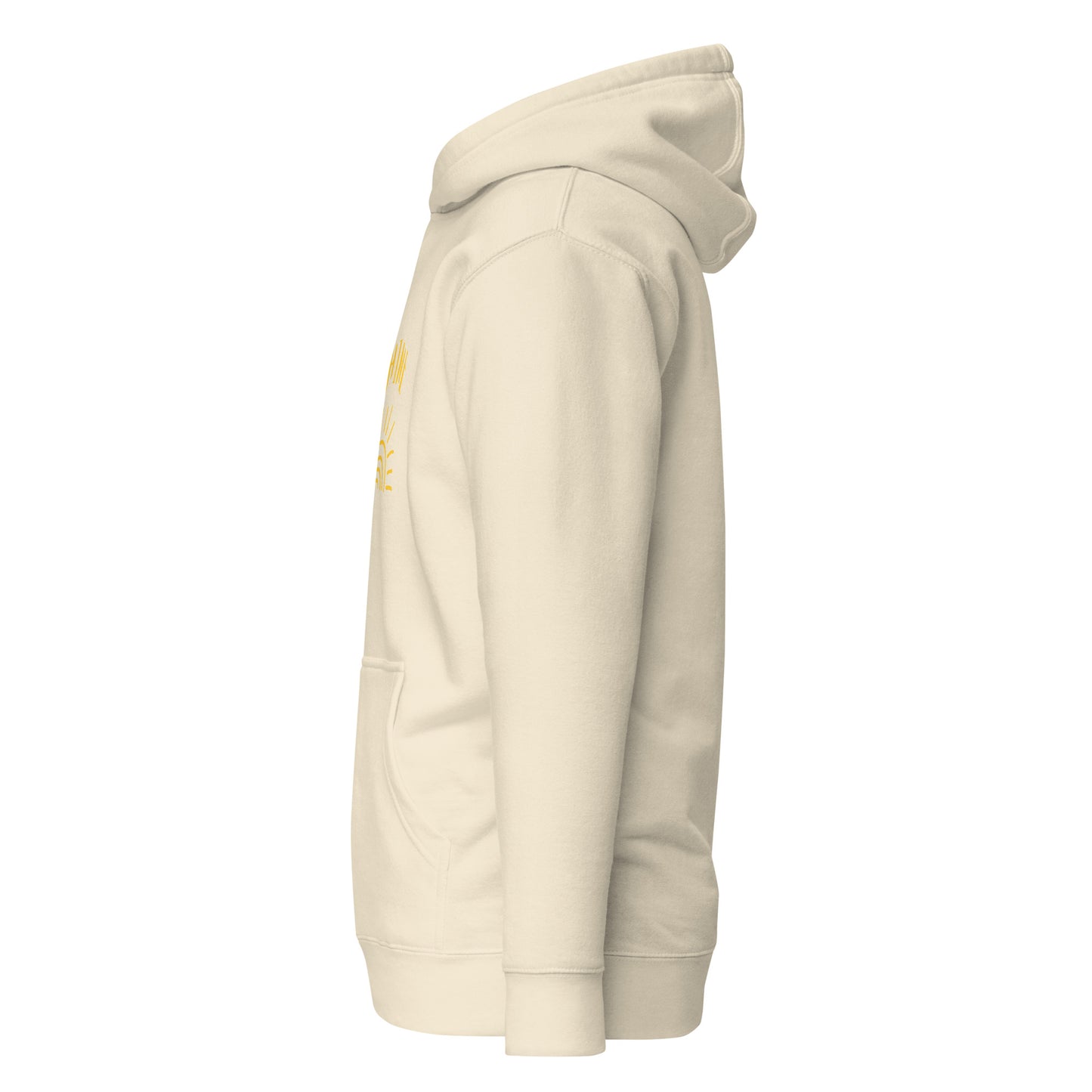 Shine Hoodie
