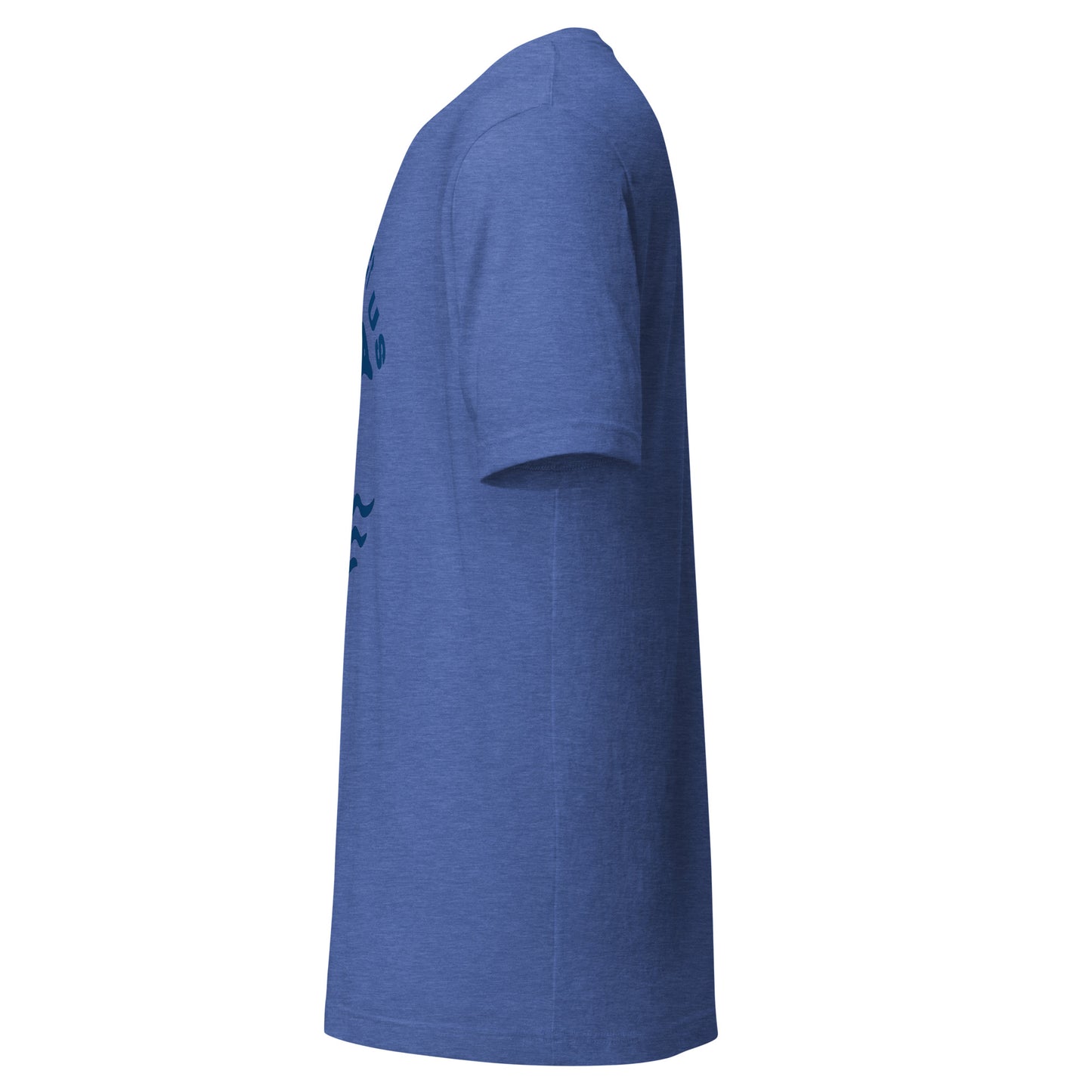Protect the Dolphins Subtle Tee