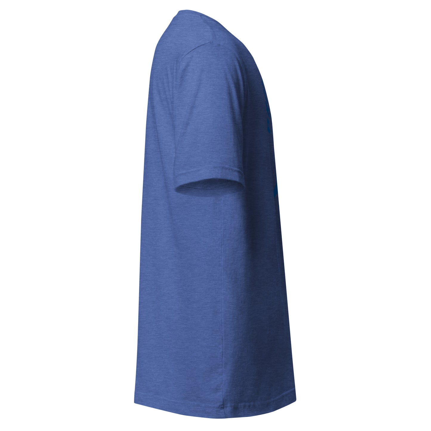 Protect the Dolphins Subtle Tee